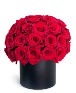 Luxury Red Rose Round Box – Premium Fresh Roses for Valentine’s