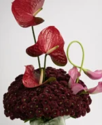 Ruby Elegance Anthurium Floral Arrangement | Luxury Flower Décor - Image 3