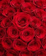 Eternal Love Red Rose Bouquet – Premium Hand-Tied Roses - Image 3