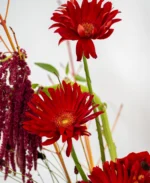 Luxury Red Bloom Designer Flower Arrangement - Image 7