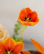 Luxury Floral Fresh Roses & Exotic Blooms - Image 7